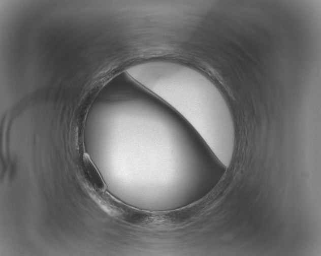 X0000082150589200701191026