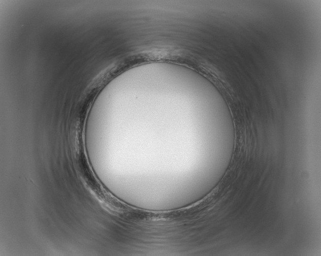 X0000082150590200701191026