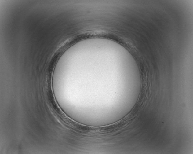 X0000082150591200701191026