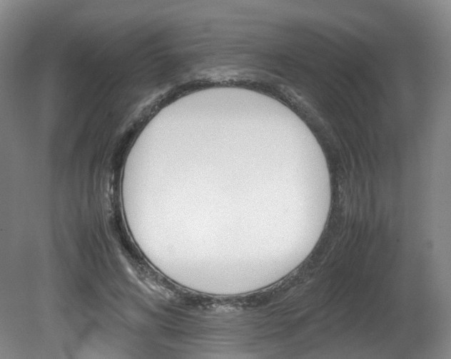 X0000082150592200701191026