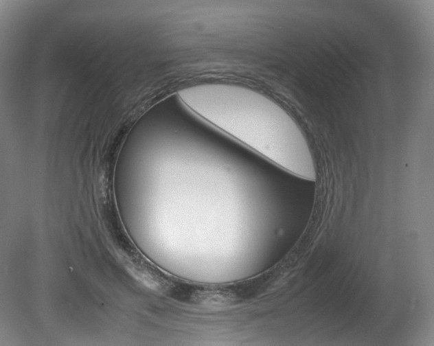 X0000082150597200701191025