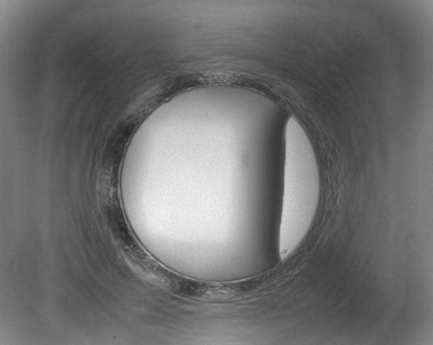 X0000082150599200701191025