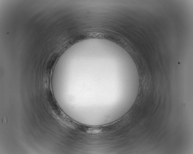 X0000082150602200701191025