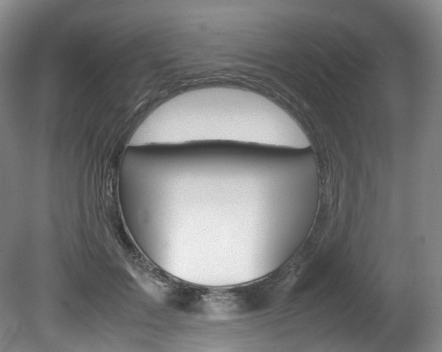 X0000082150603200701191025