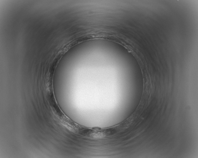 X0000082150604200701191025