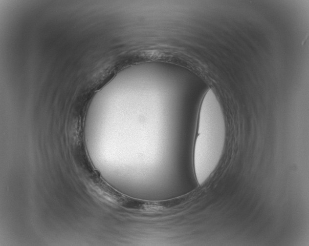 X0000082150605200701191025