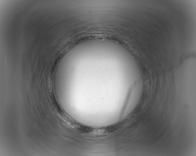 X0000082150609200701191025