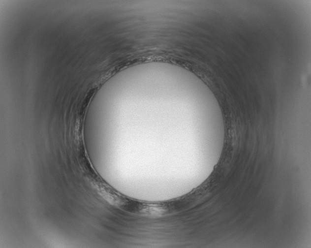 X0000082150610200701191025