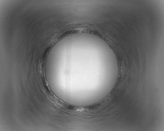 X0000082150611200701191025
