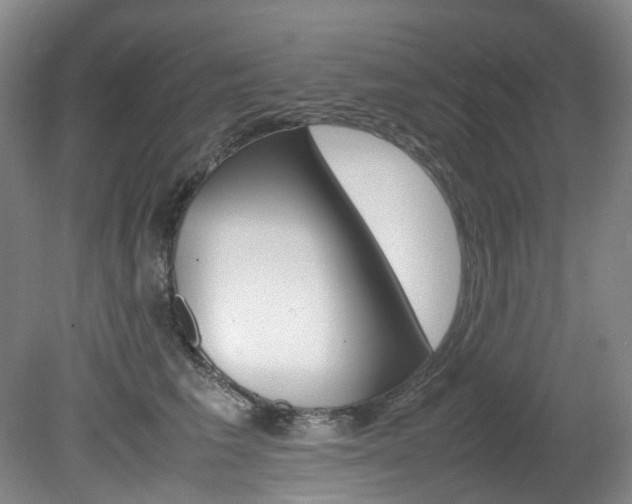 X0000082150613200701191025
