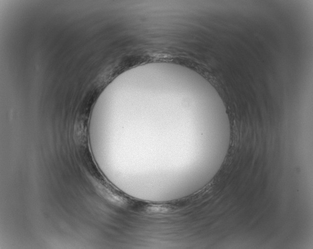 X0000082150614200701191025