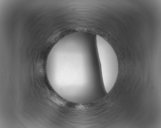X0000082150616200701191025