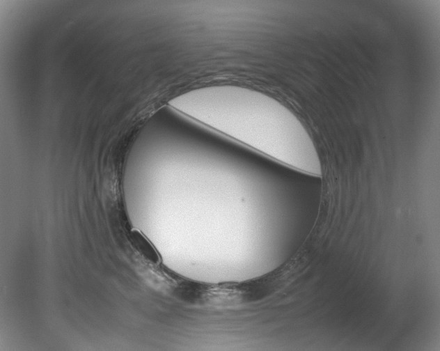 X0000082150617200701191025