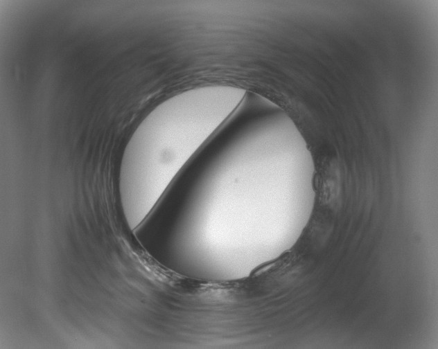 X0000082150620200701191025
