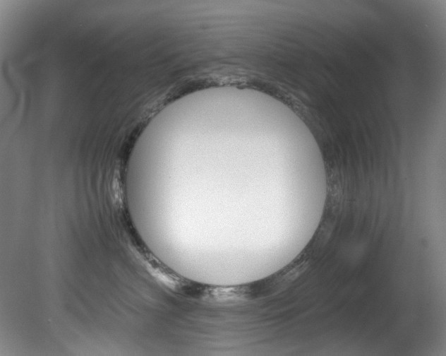 X0000082150622200701191025