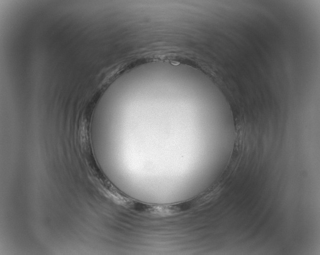 X0000082150623200701191025