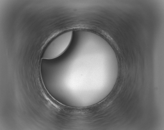 X0000082150625200701191024