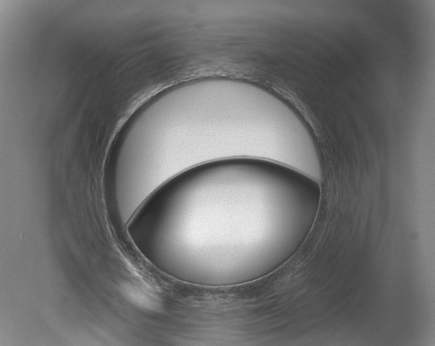 X0000082150626200701191024