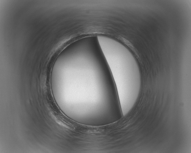 X0000082150627200701191024