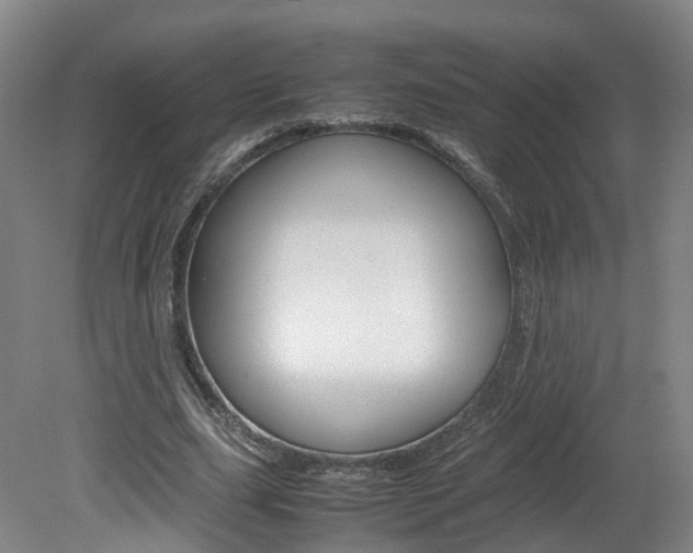 X0000082150631200701191024