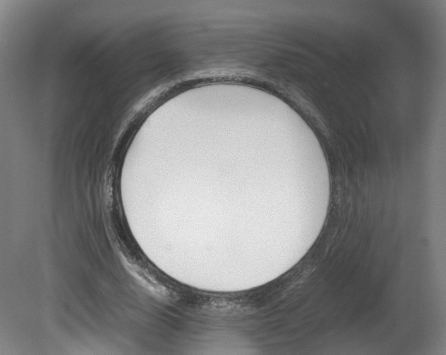 X0000082150632200701191024