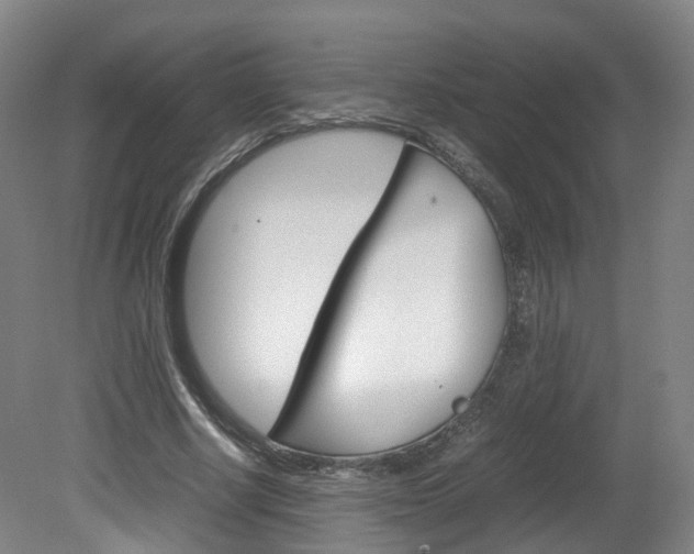 X0000082150634200701191024