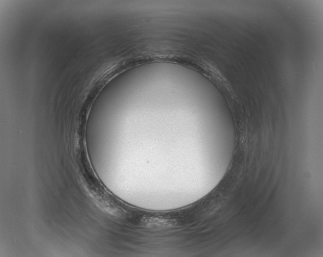 X0000082150635200701191024