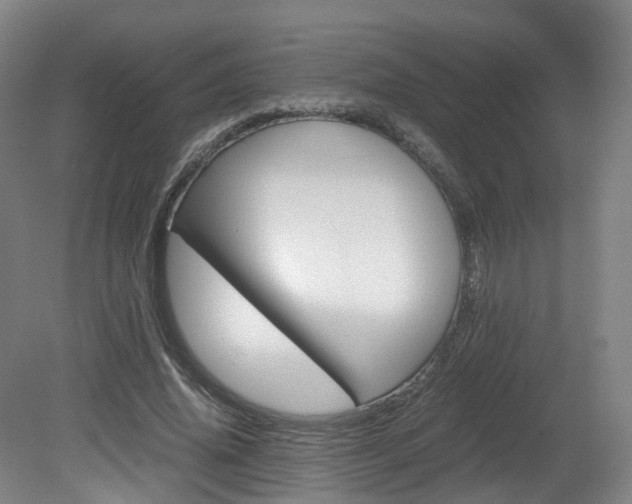 X0000082150636200701191024