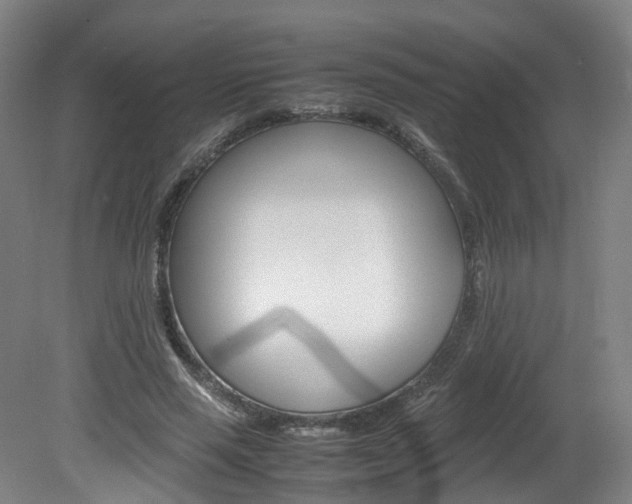 X0000082150637200701191024