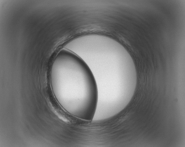 X0000082150638200701191024
