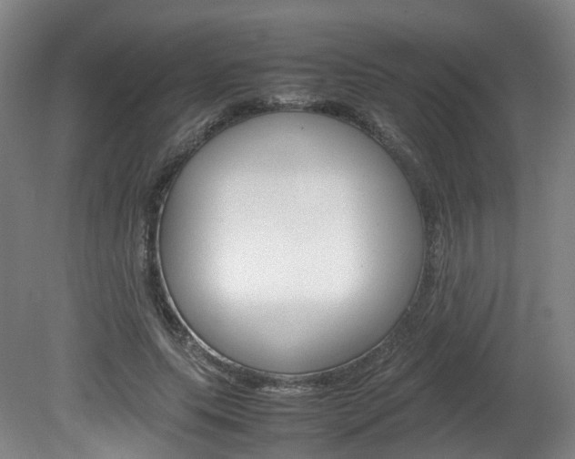 X0000082150639200701191024