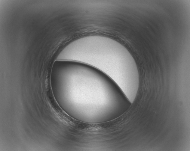 X0000082150642200701191024