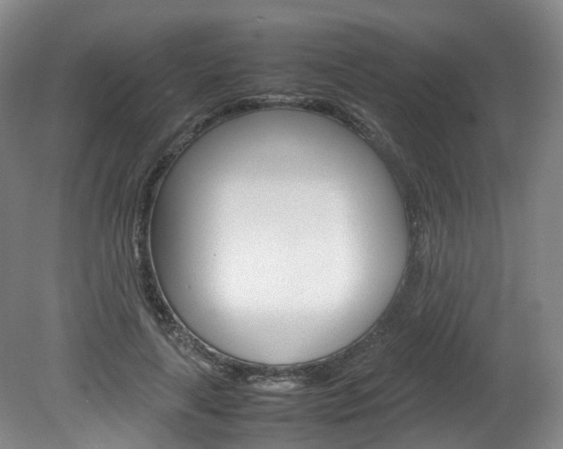 X0000082150643200701191025
