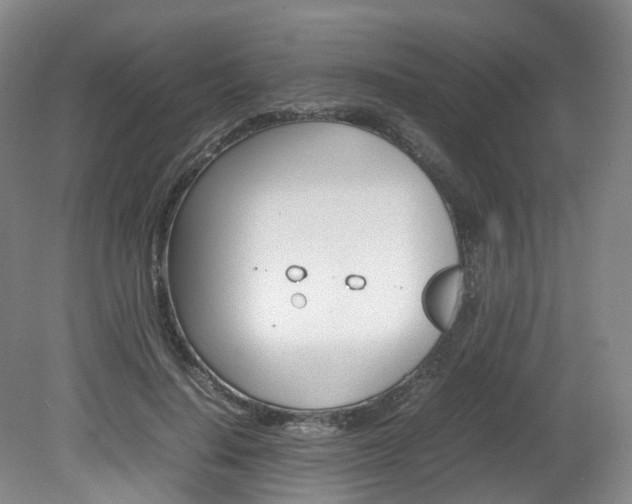 X0000082150644200701191025