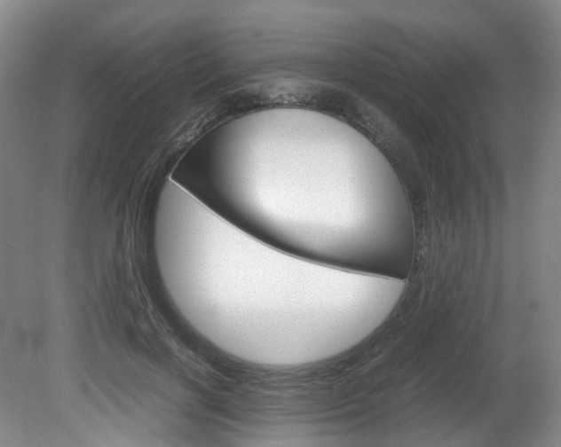 X0000082150646200701191025