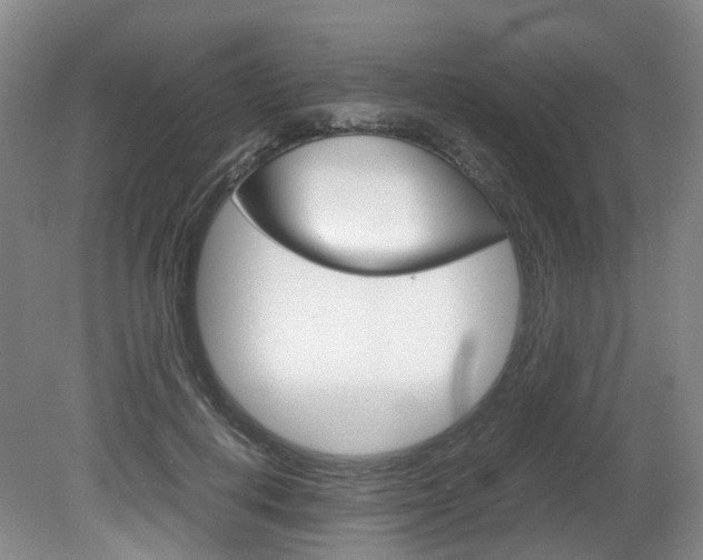 X0000082150648200701191025