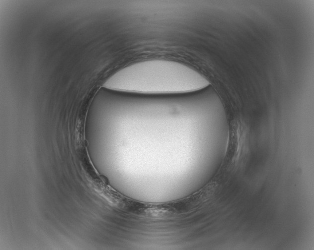 X0000082150650200701191025