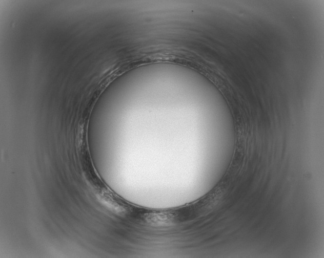 X0000082150652200701191025