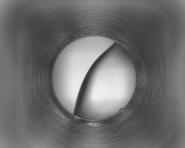 X0000082150654200701191025