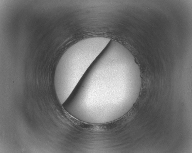X0000082150656200701191025