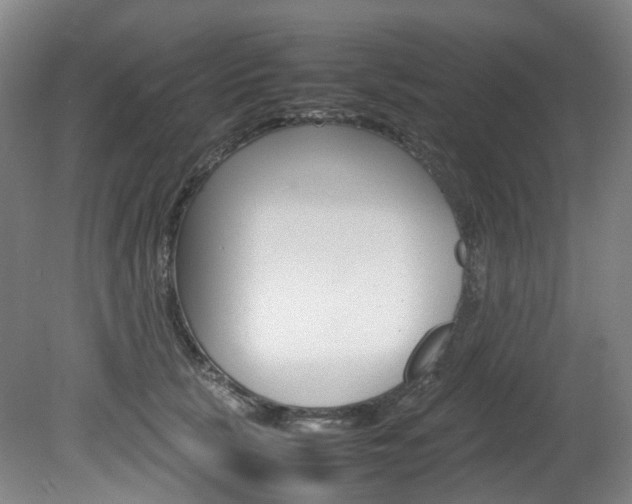 X0000082150657200701191025