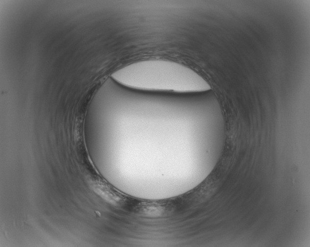 X0000082150658200701191025