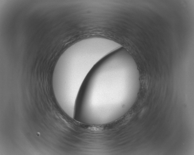 X0000082150660200701191025