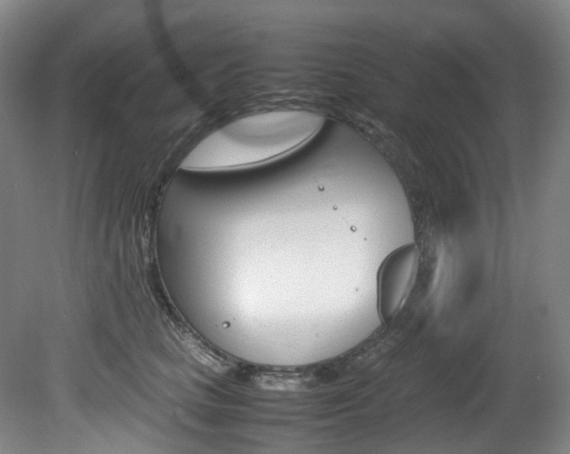X0000082150661200701191025