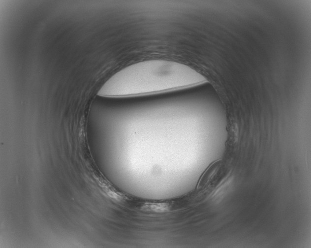 X0000082150665200701191025