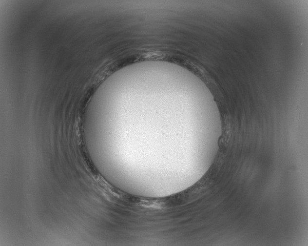 X0000082150667200701191025
