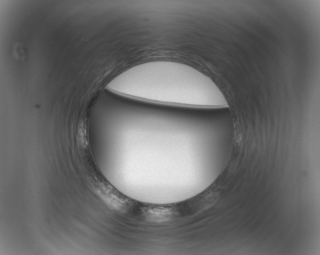 X0000082150669200701191025