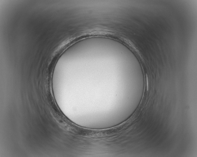 X0000082150675200701191024