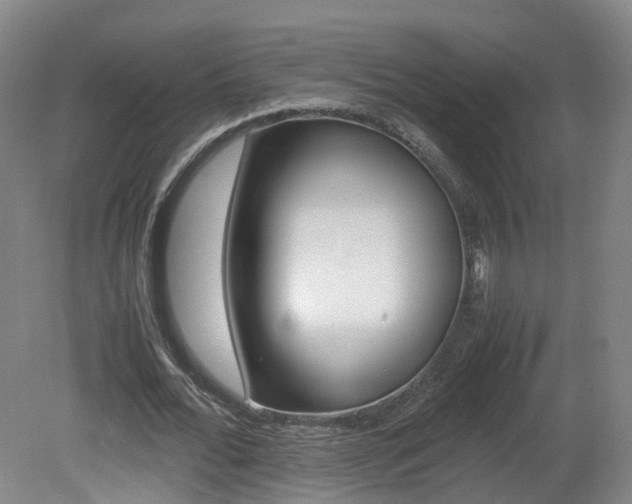 X0000082150676200701191024