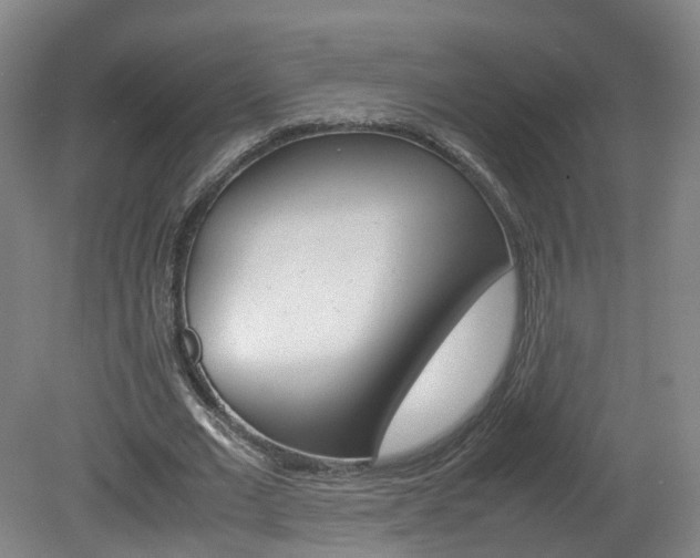 X0000082150677200701191024